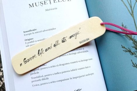 Semn de carte pictat