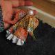 Brosa martisor Inger