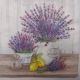 SFERT DE SERVETEL ANGLIA lavanda 9