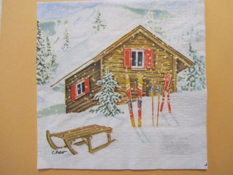 SFERT DE SERVETEL iarna cabana ski