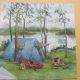 servetel intreg vacanta cort picnic lac