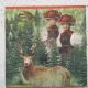 servetel intreg TIROL traditional 
