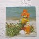 servetel intreg plante aromatice