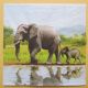 servetel intreg elefant cu pui Africa
