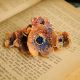 Agrafa de par florala vintage like