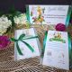 Invitaie botez tinkerbell