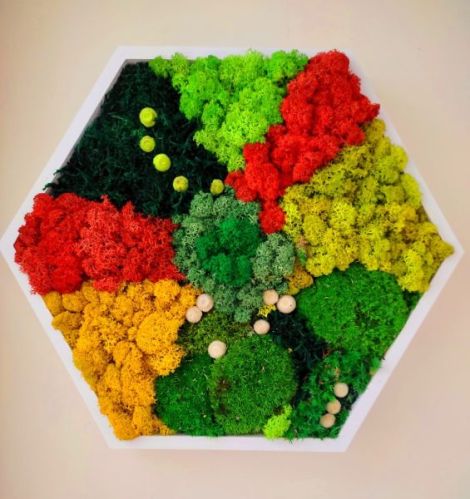 Tablou hexagonal cu licheni