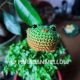 Brosc Mini Cameleon