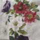 Christmas Flowers