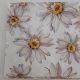 Daisies