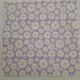 Daisies on Lilac