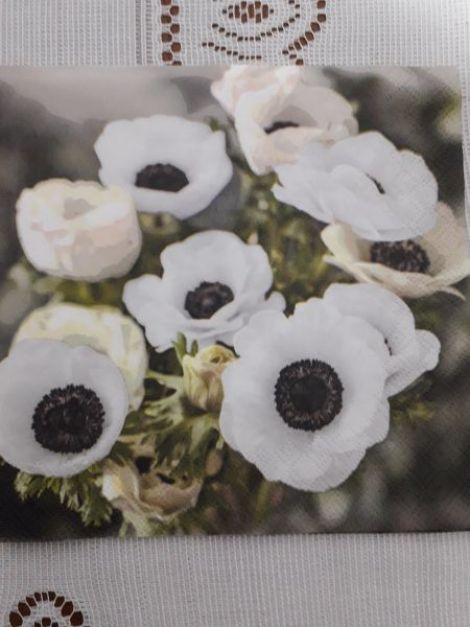 Anemones