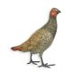 Potarniche-statueta din bronz pictat