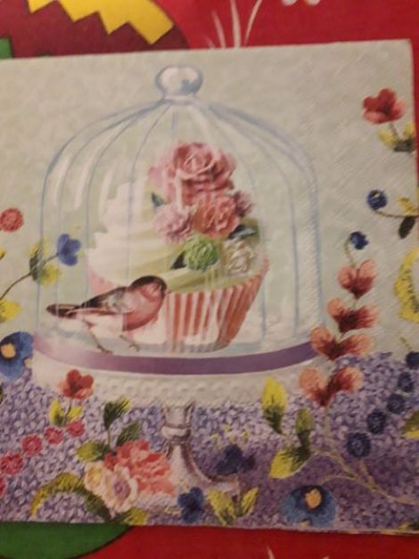 Muffin and Bird
