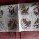 Animals in Winter