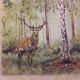 Great Deer