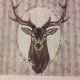 Deer and Edelweiss