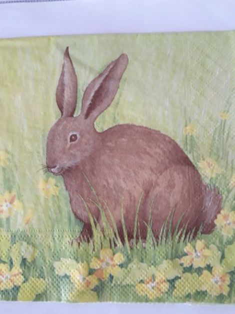 Great Rabbit