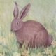 Great Rabbit