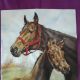 Foal and Mare