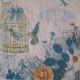 Humming-bird and Bird