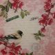 Bird on Pink Branch