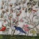 Exotic Birds