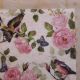 Birds and Pink Roses