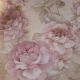 Lilac Roses on Beige