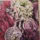 Hydrangea and Roses