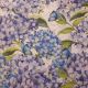 Blue Hydrangea and Butterflies