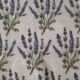 Bouquets of Lavender on Cream