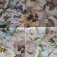 Painted Pansies