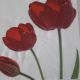 Three Red Tulips