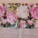 White and Pink Peonies