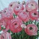Pink Peonies 