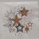 Winter Stars