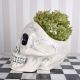 Craniu decorativ alb Dias de los Muertos