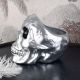 Vaza craniu argintiu Dias de los Muertos