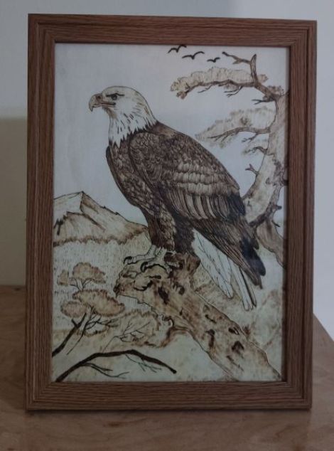 tablou vultur pirogravat