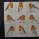 servetel intreg iarna 25-25 cm multi Robin
