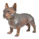 Buldog francez-statueta din bronz masiv