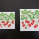servetel intreg 25-25 cm si 33-33 cm capsuni