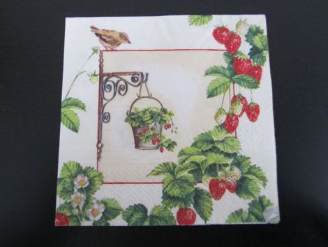 servetel intreg 25-25 cm capsuni pasare