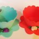Cescute -Oferta 30 +2