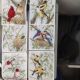 6 petece textil bbc 100 pasari - partea I