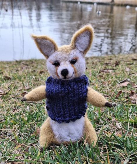 Vulpe Fennec