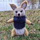 Vulpe Fennec