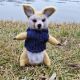 Vulpe Fennec
