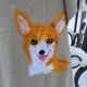 Sal impaslit cu corgi